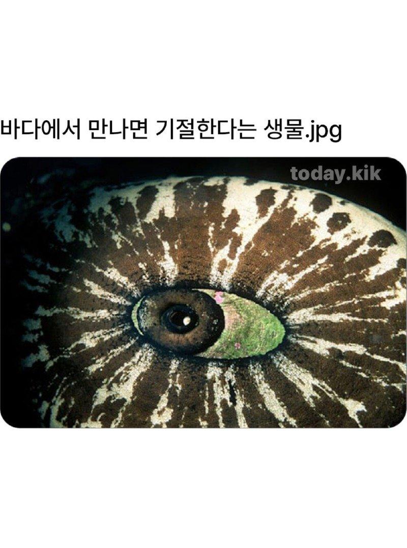 02.jpg