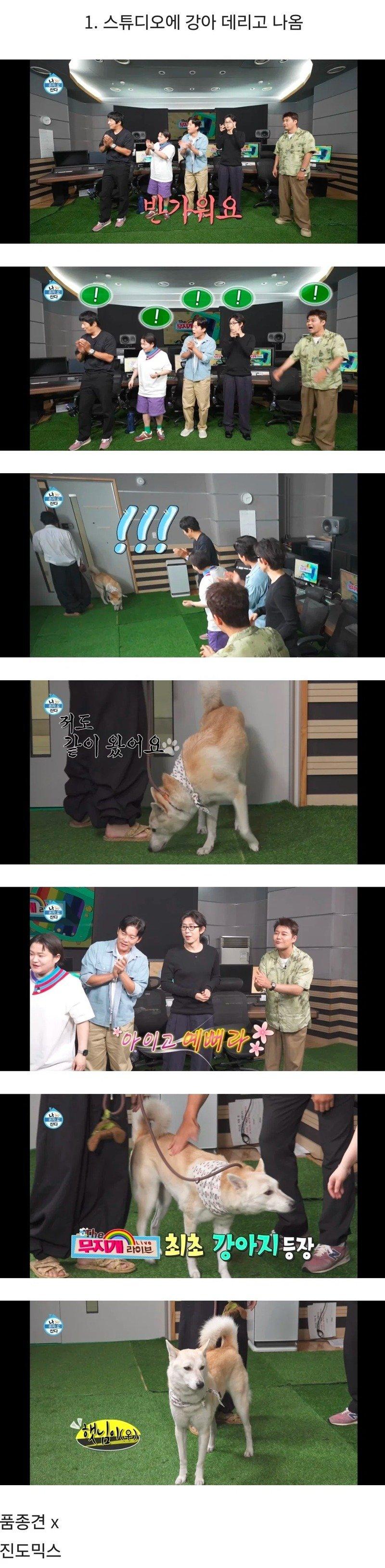 01.jpg