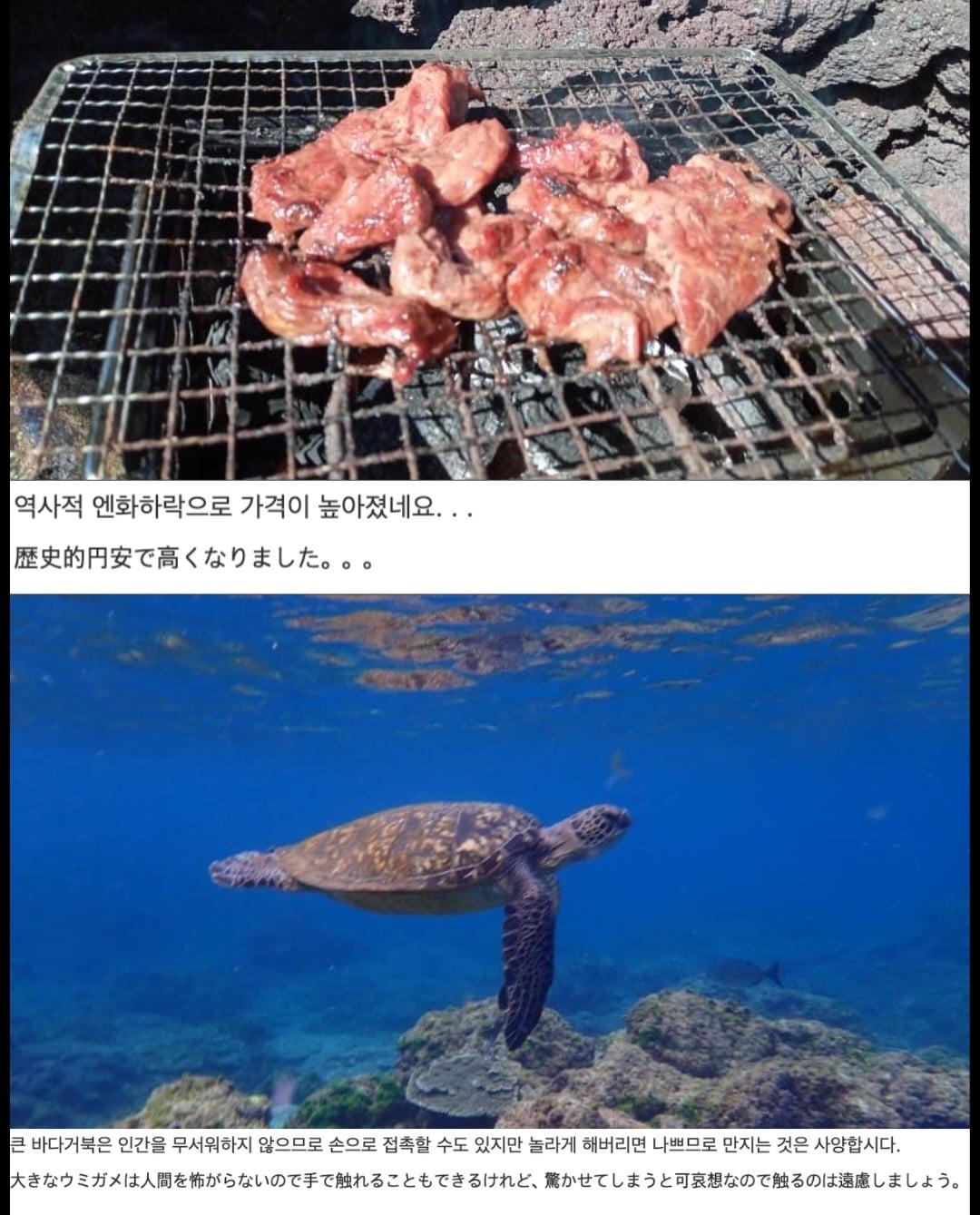 justdoeatjapan 2026-07-26T131206-2.jpeg