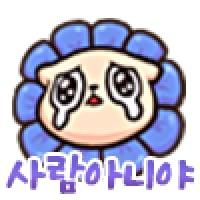 icon_11 (1)