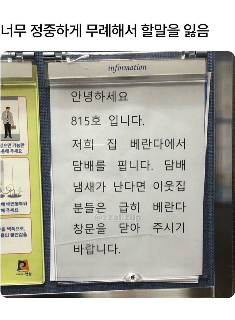 05.jpg