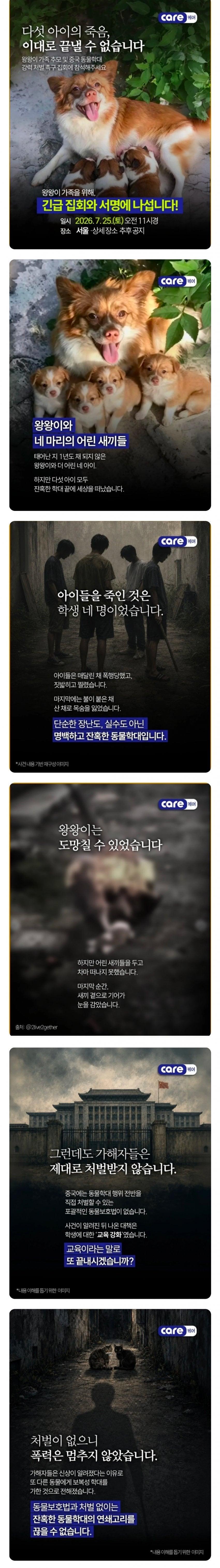 동물학대.jpg