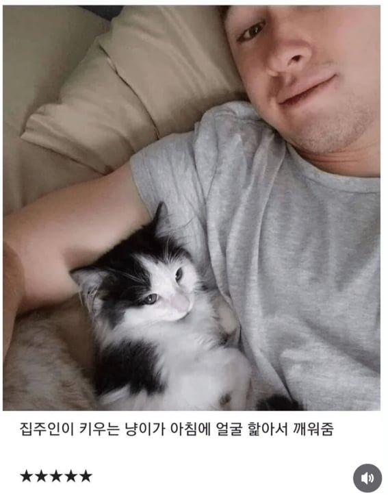 숙소 별점 5점 준 이유.png