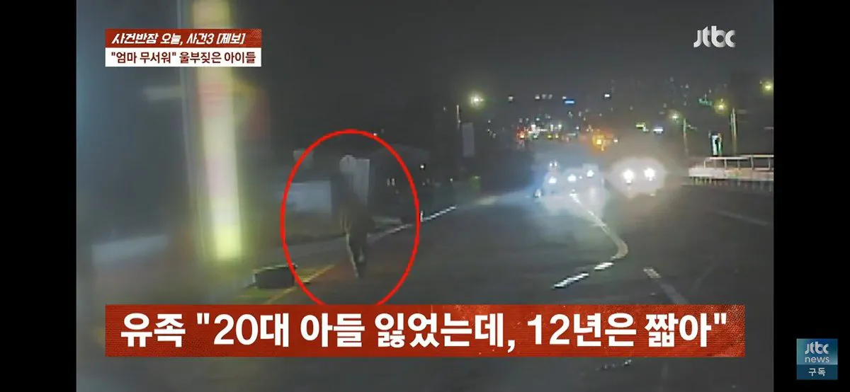 IMG_1965.jpeg 4살 · 6살 딸 태우고 음주 운전하다 사망 사고 낸 엄마, 블박 공개