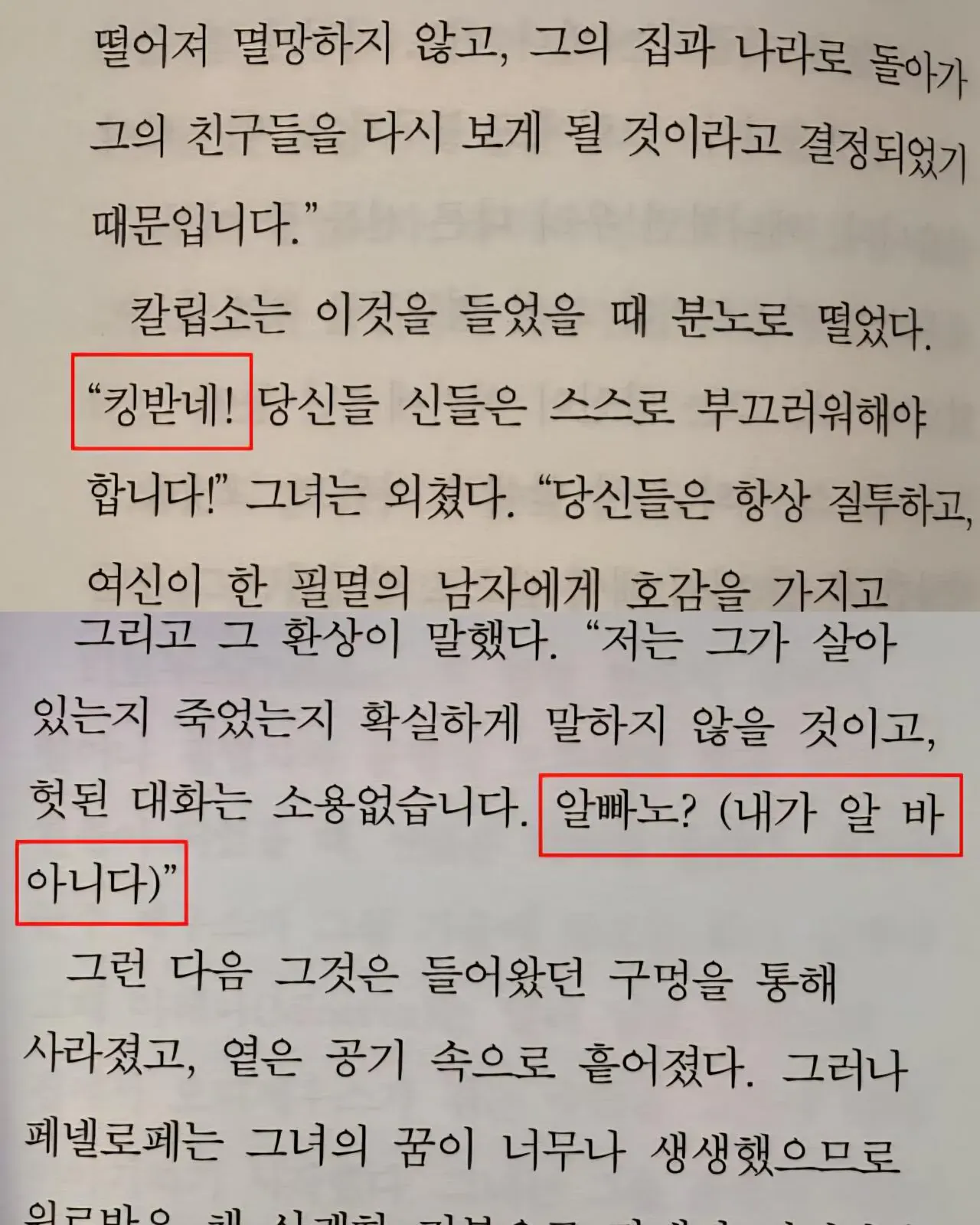 22.webp