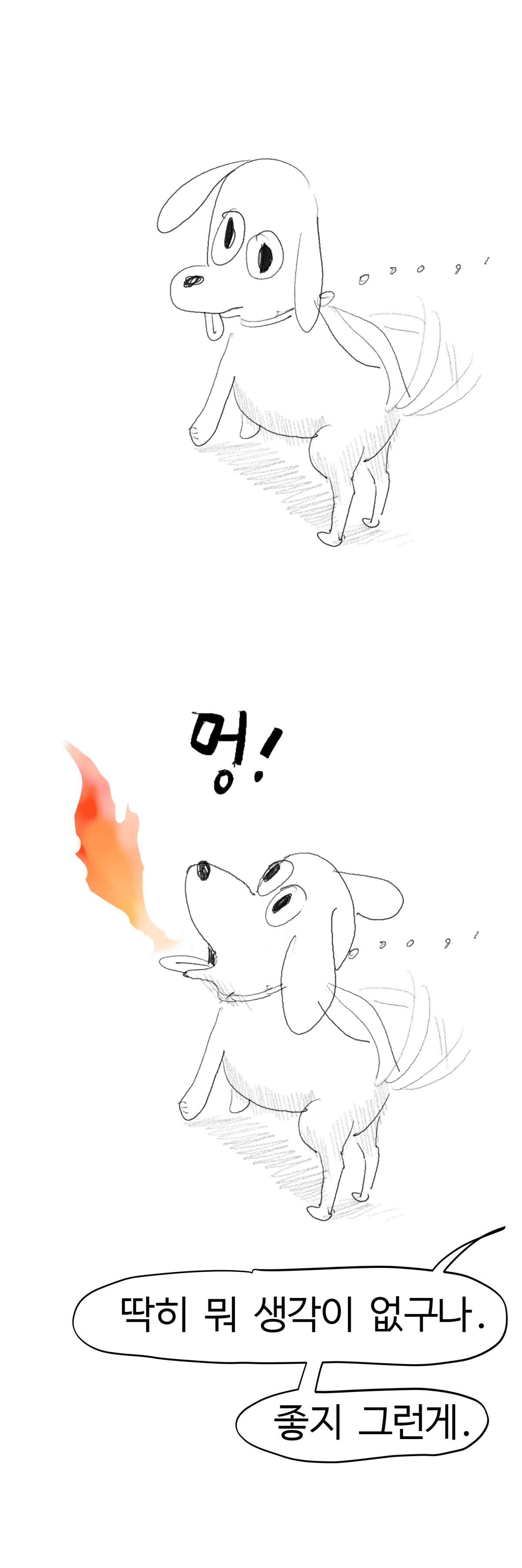 13.png