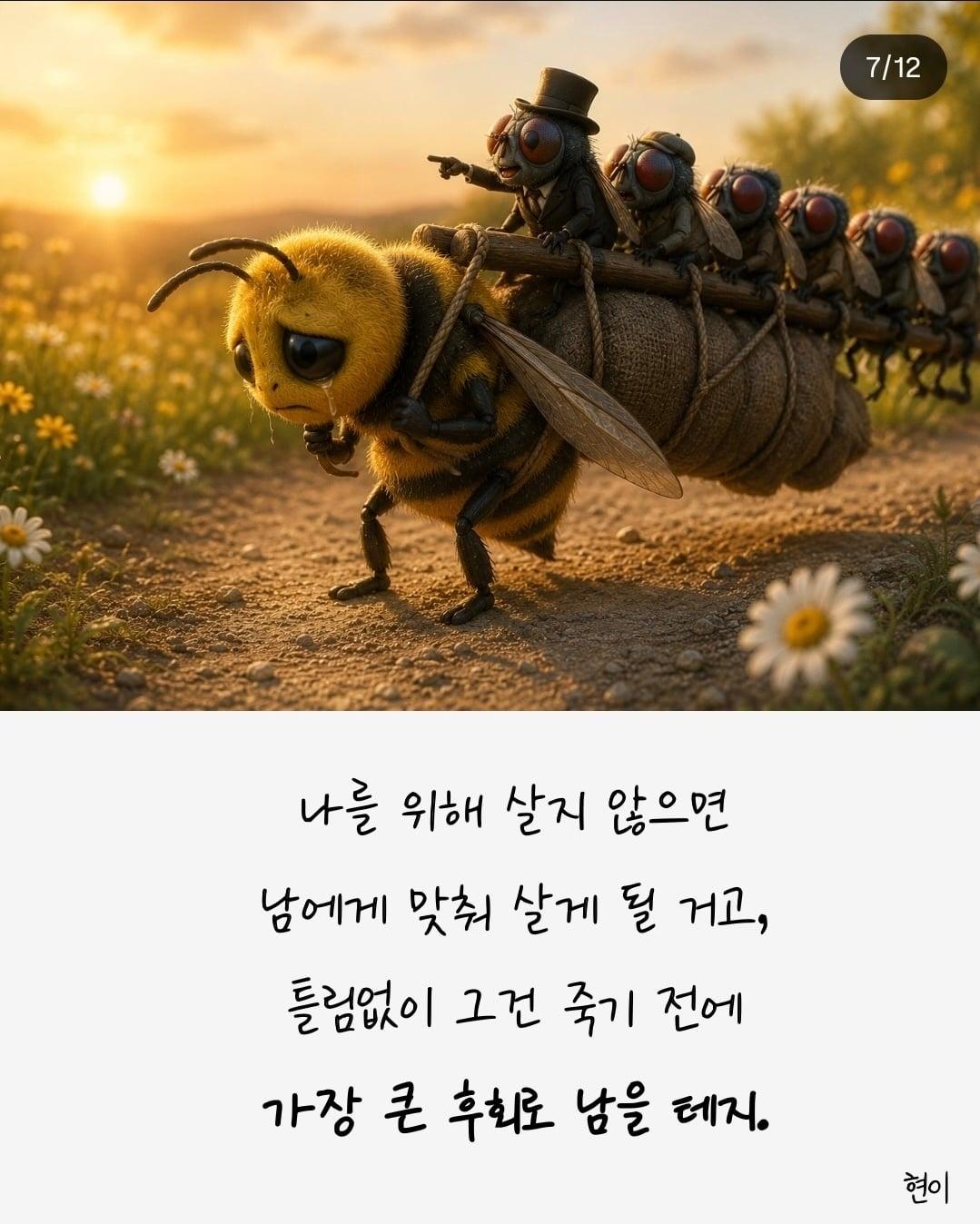 1786246564676.jpg