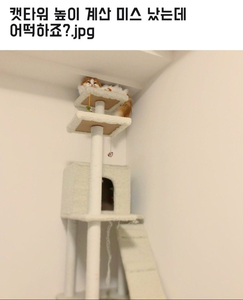 02.jpg