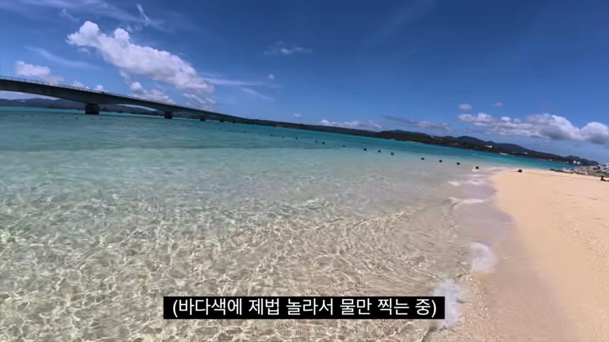 Screenshot_20260811_201544_YouTube.jpg