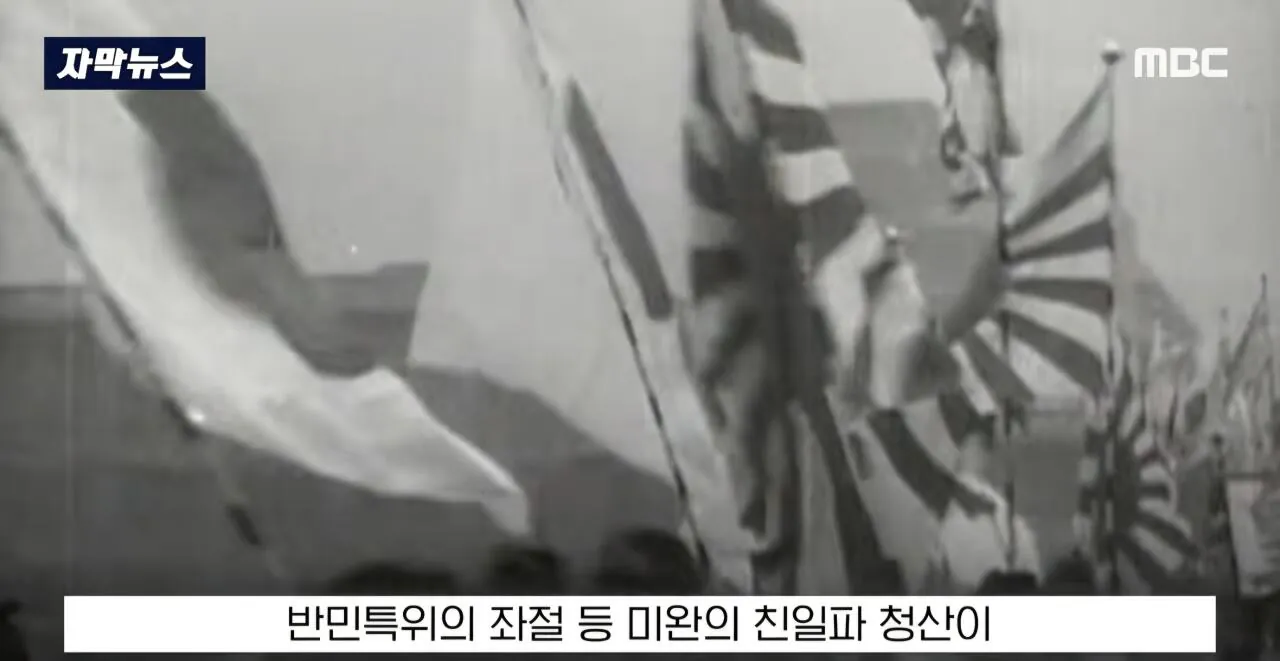 日," 한국은 왜 용서하지 않나?" 배우 하영 증조부 친일 논란