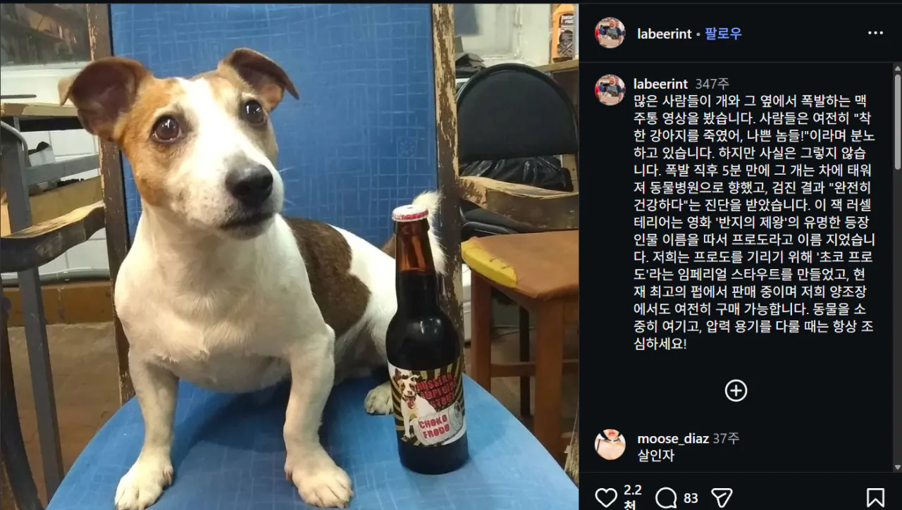 2.png 맥주통 갖고놀다 터져서 기절한 댕댕이 + 이후 근황