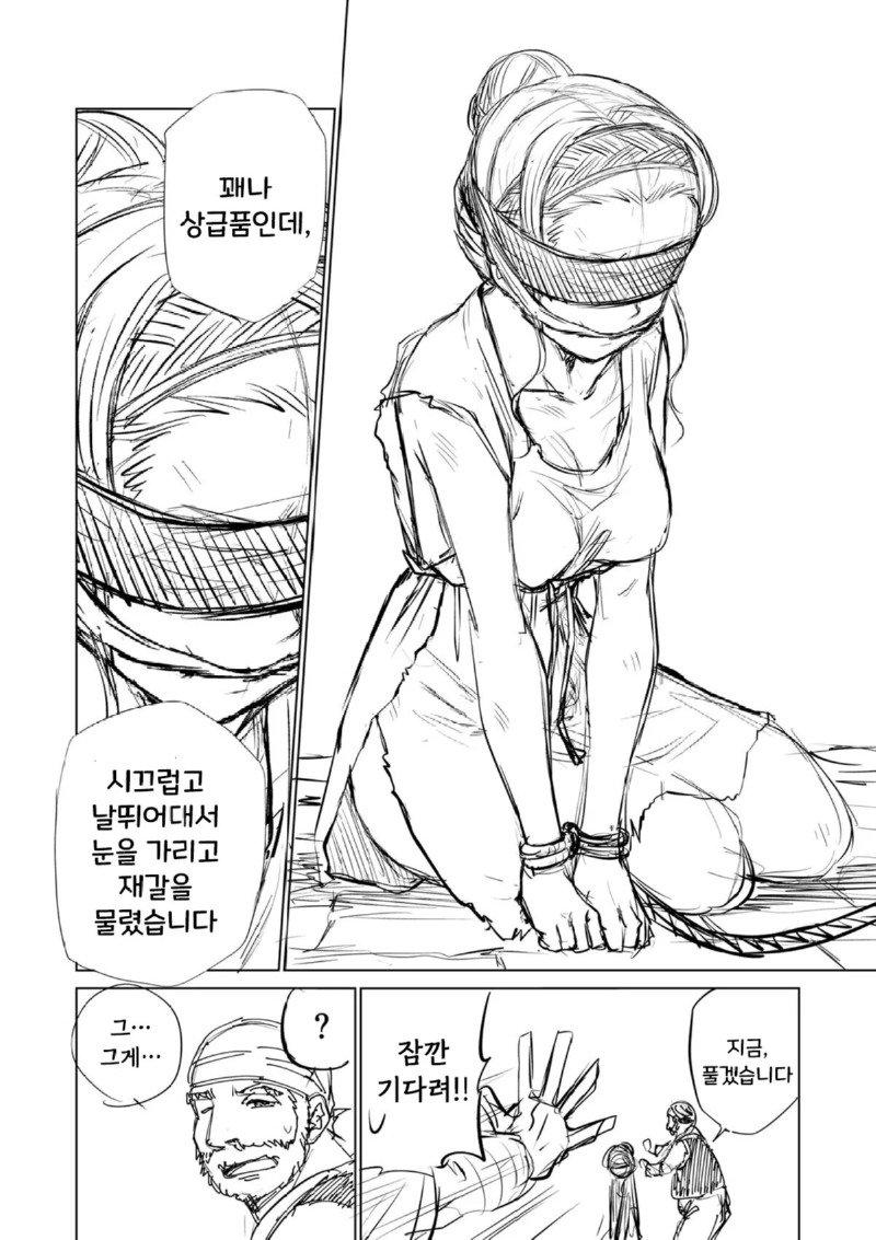 47.jpg