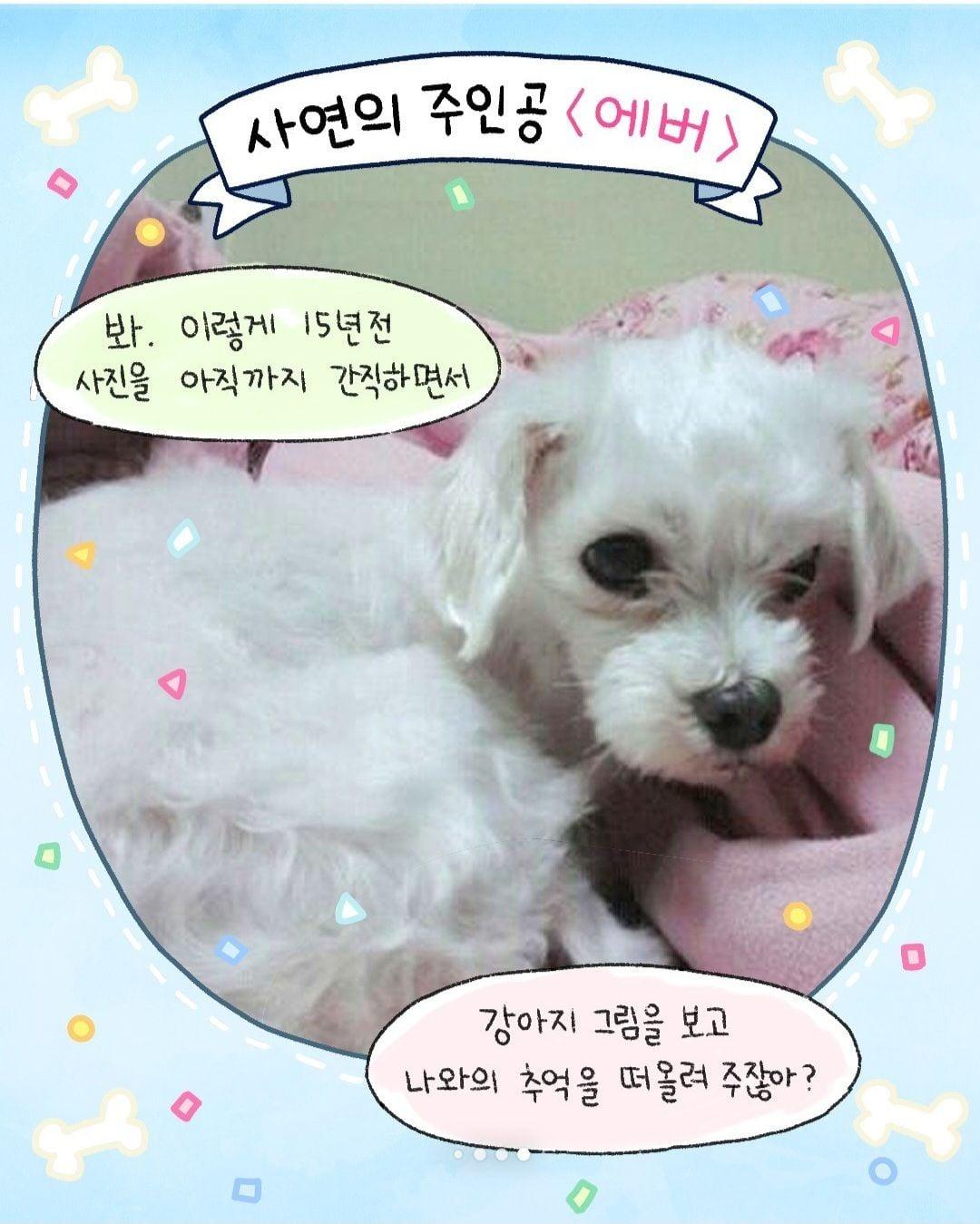 인스타툰) 에버 이야기 - 순애 채널 009.jpg