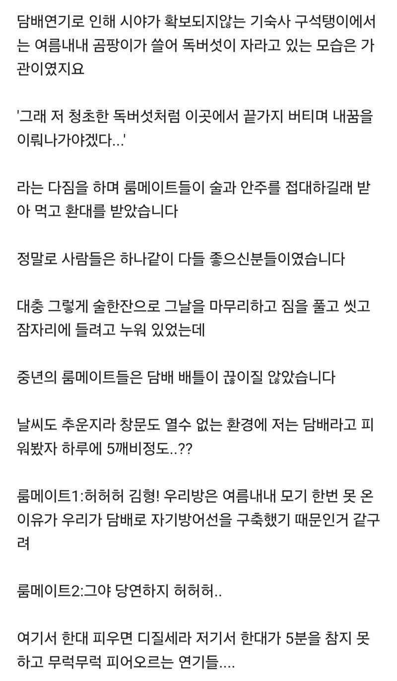 04.jpg