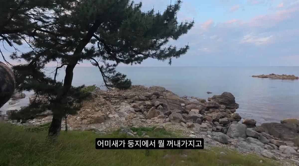 8742374326_486616_23d5122218effde9439d327d6450c4f0.jpg 최근 수리부엉이가 먹이로 잡고 있다는 동물