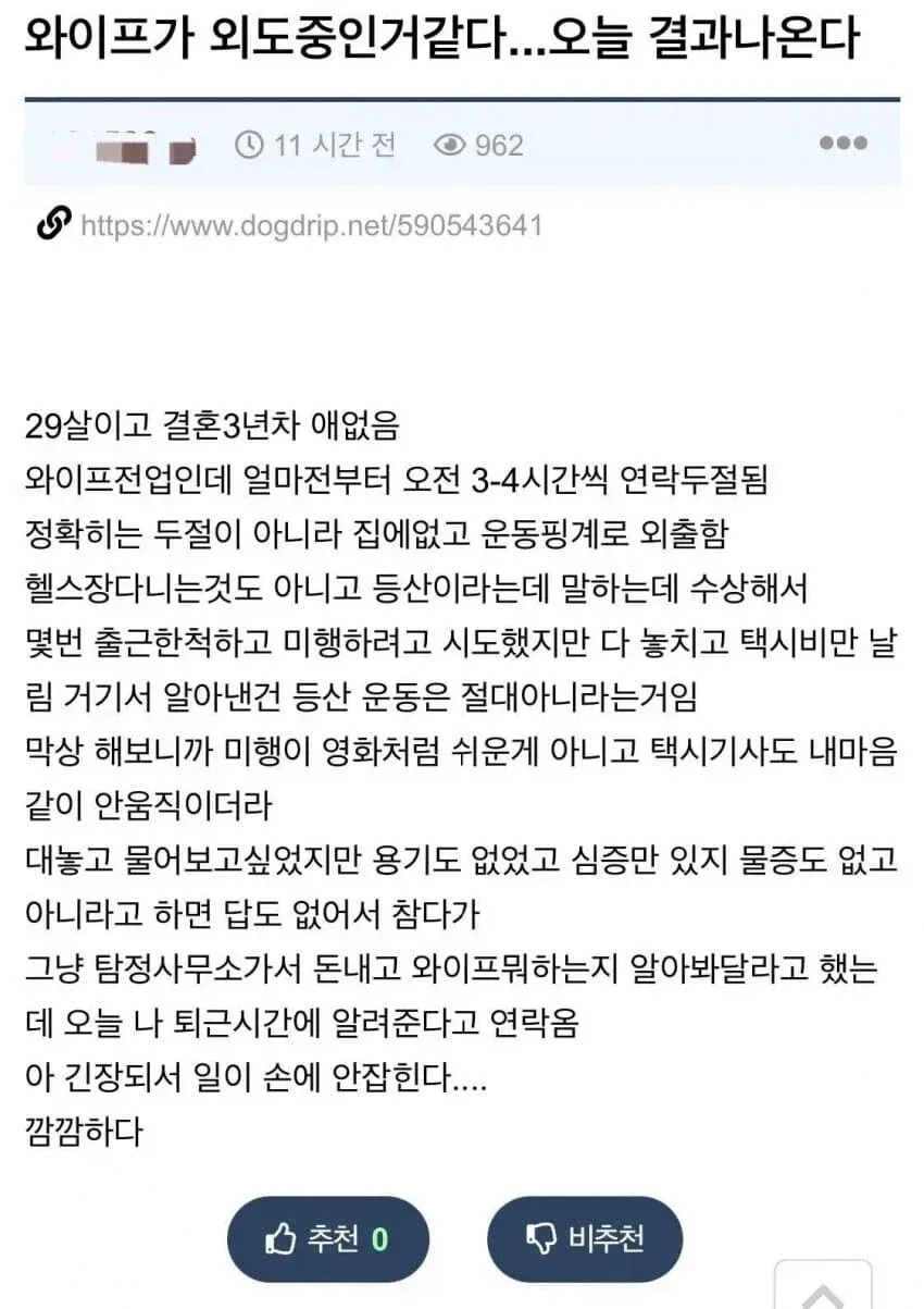 와이프 외도 후기