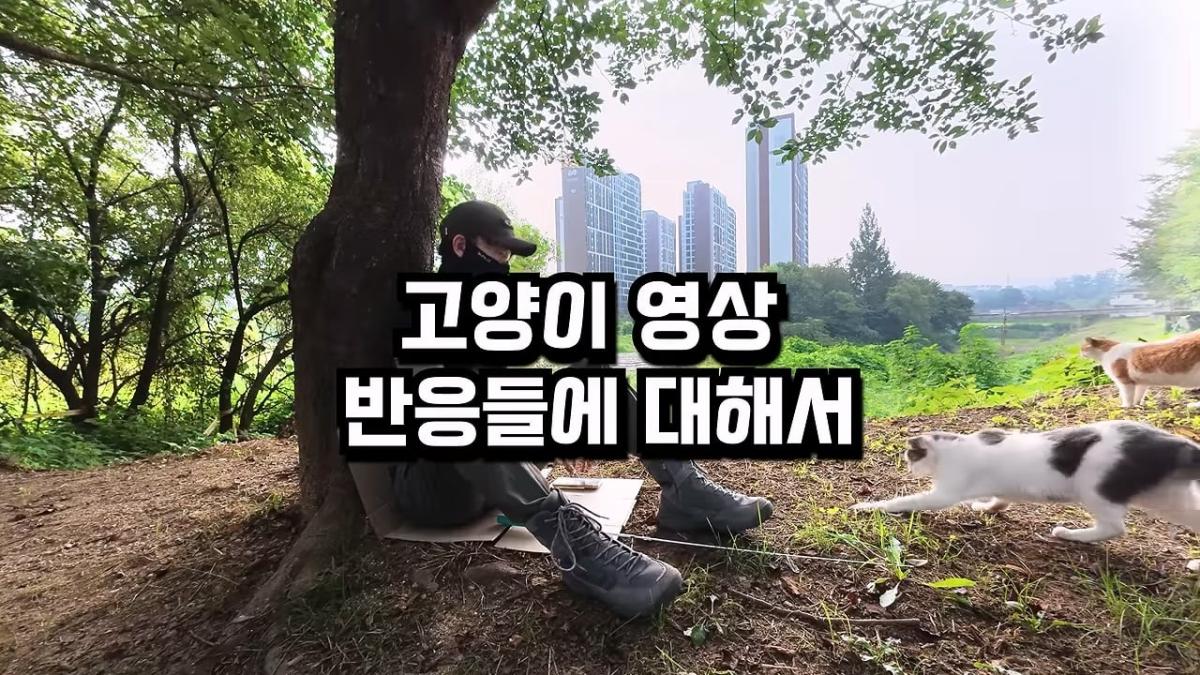 고양이, 이젠 직접 잡는 수밖에 없습니다_20260818_200710.001.jpg