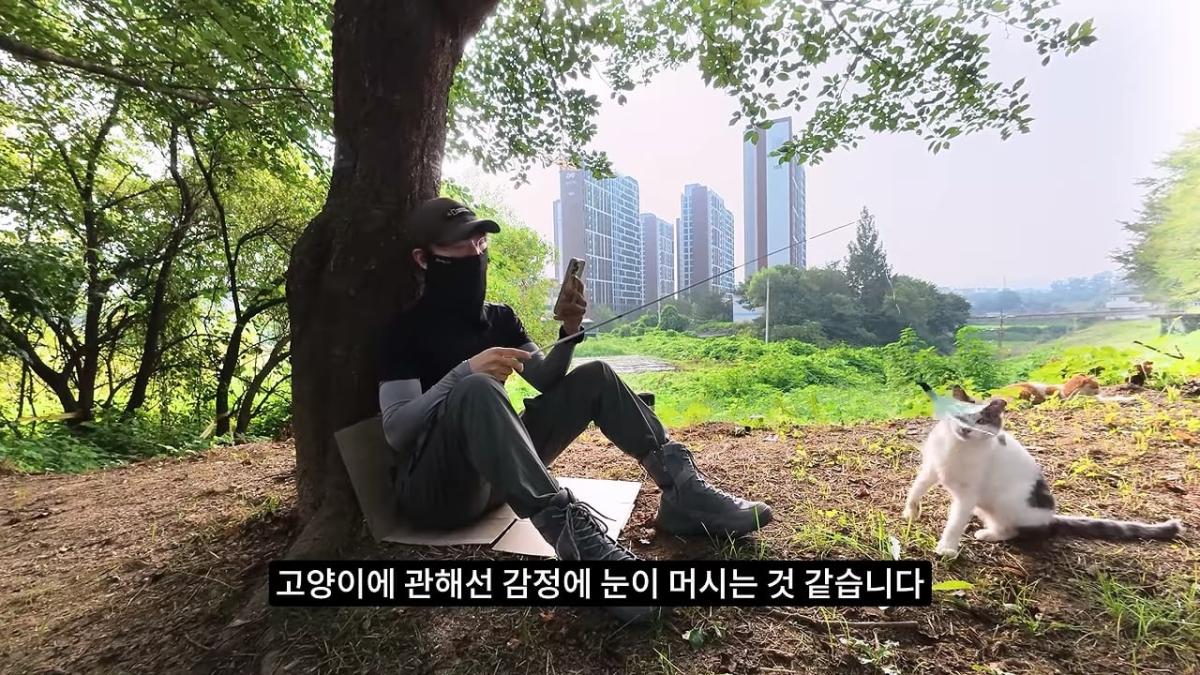 고양이, 이젠 직접 잡는 수밖에 없습니다_20260818_201440.656.jpg