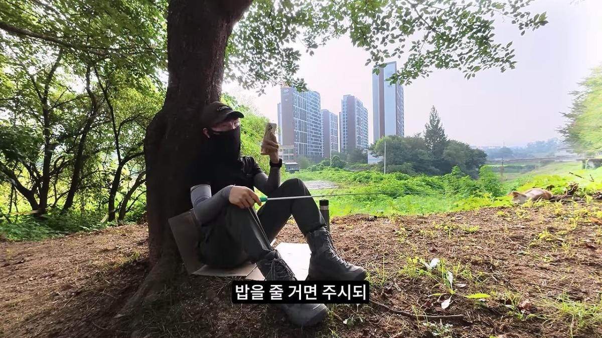 고양이, 이젠 직접 잡는 수밖에 없습니다_20260818_201615.217.jpg