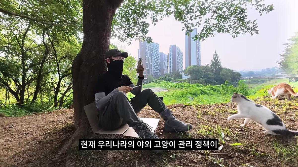 고양이, 이젠 직접 잡는 수밖에 없습니다_20260818_201230.145.jpg