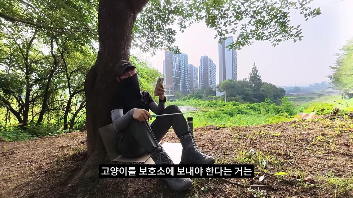 고양이, 이젠 직접 잡는 수밖에 없습니다_20260818_204234.454.jpg