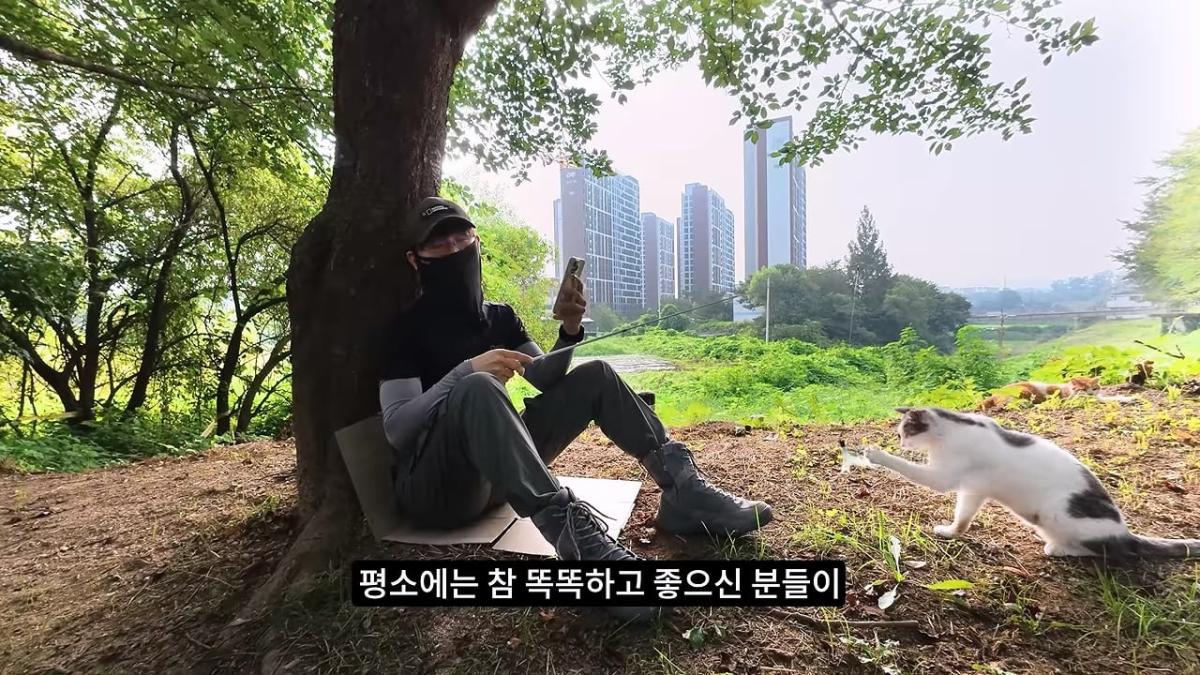 고양이, 이젠 직접 잡는 수밖에 없습니다_20260818_201438.376.jpg
