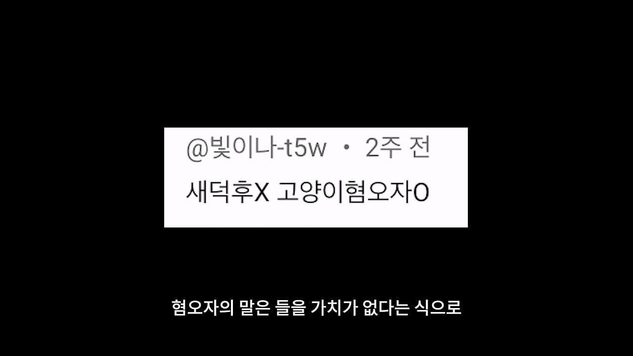 고양이, 이젠 직접 잡는 수밖에 없습니다_20260818_204731.198.jpg