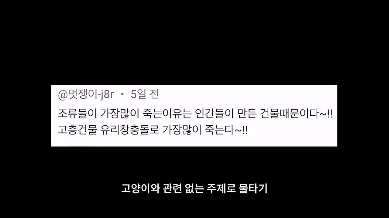 고양이, 이젠 직접 잡는 수밖에 없습니다_20260818_204519.102.jpg