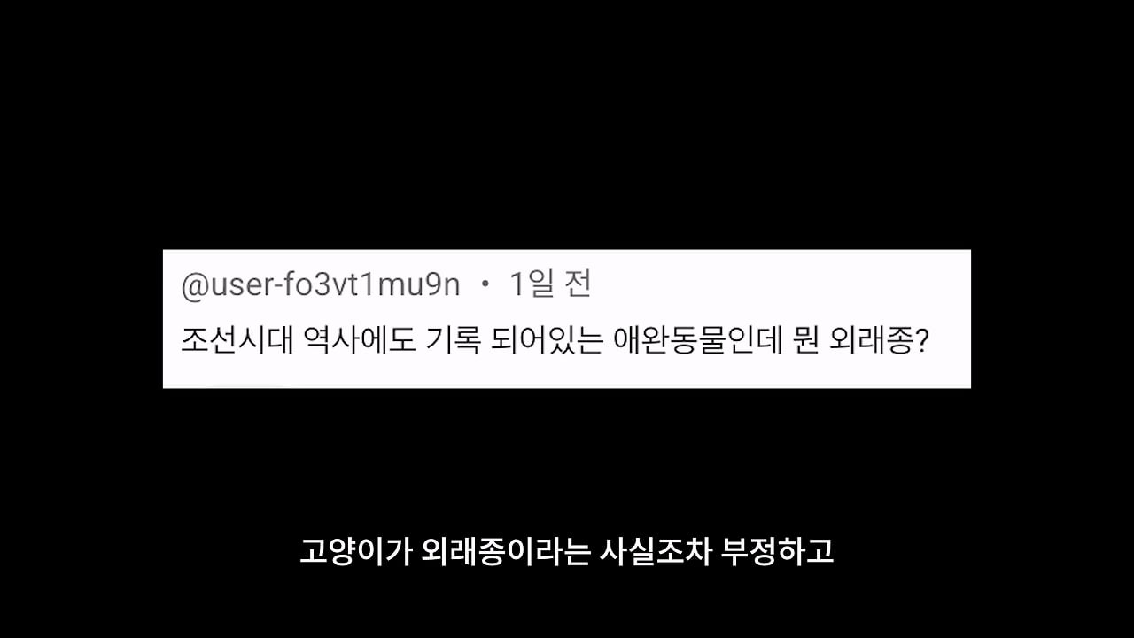 고양이, 이젠 직접 잡는 수밖에 없습니다_20260818_204508.662.jpg