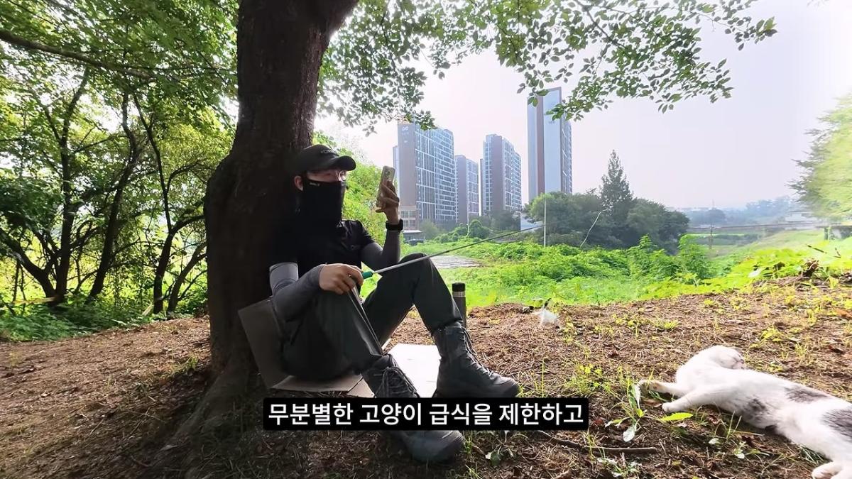고양이, 이젠 직접 잡는 수밖에 없습니다_20260818_204816.901.jpg