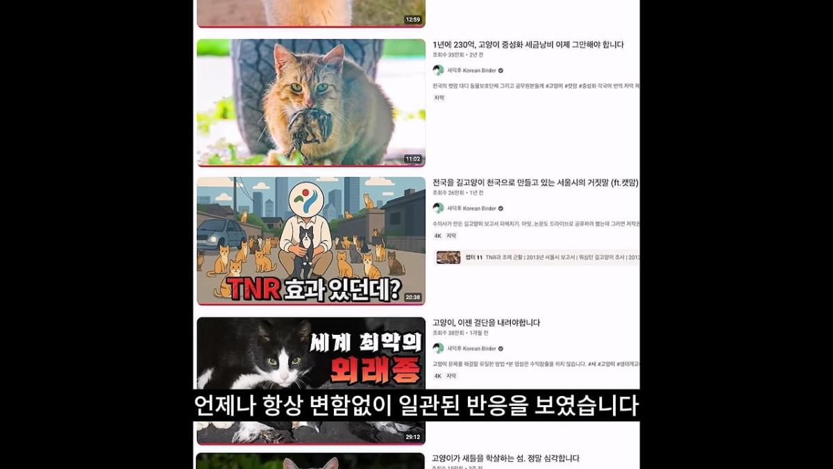 고양이, 이젠 직접 잡는 수밖에 없습니다_20260818_204419.566.jpg