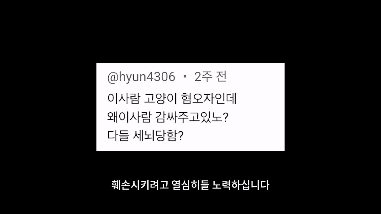 고양이, 이젠 직접 잡는 수밖에 없습니다_20260818_204751.501.jpg