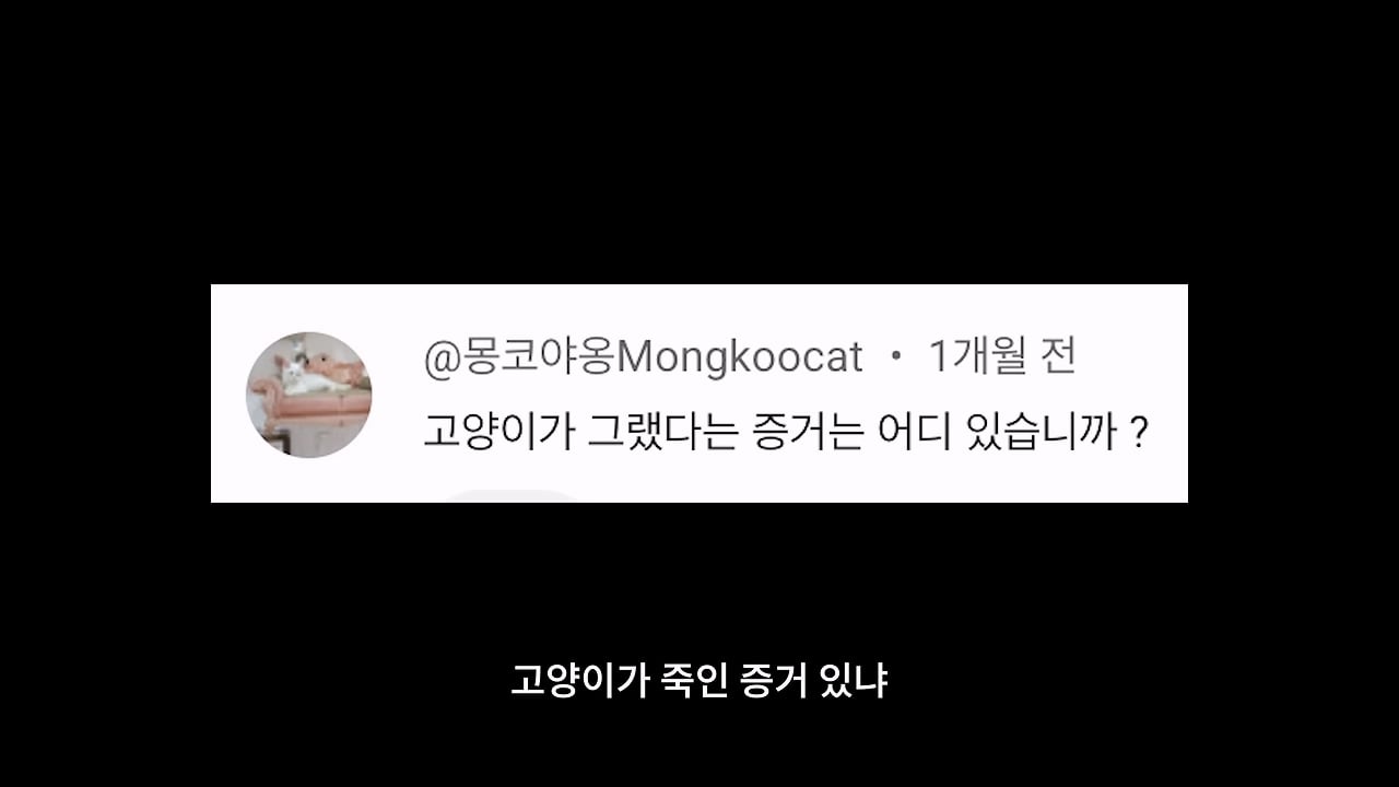 고양이, 이젠 직접 잡는 수밖에 없습니다_20260818_204450.070.jpg
