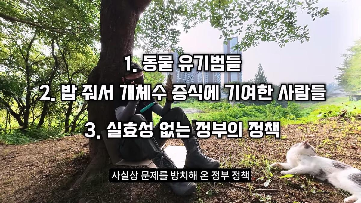 고양이, 이젠 직접 잡는 수밖에 없습니다_20260818_205003.141.jpg