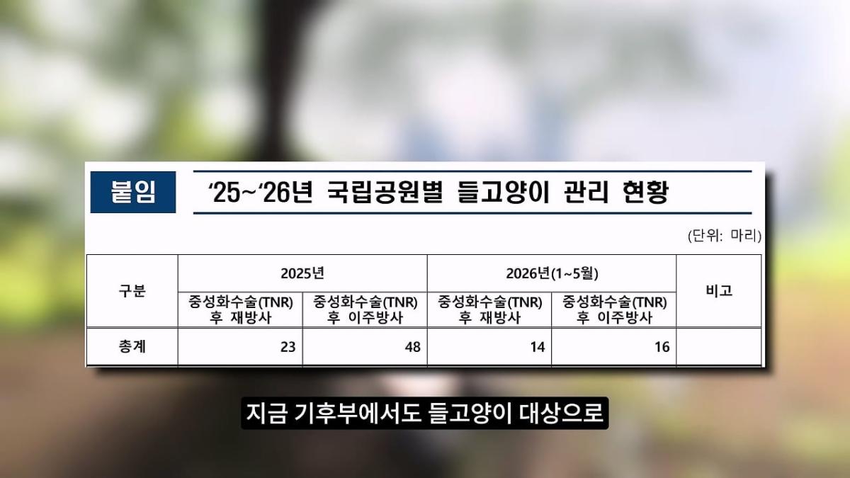 고양이, 이젠 직접 잡는 수밖에 없습니다_20260818_205651.381.jpg