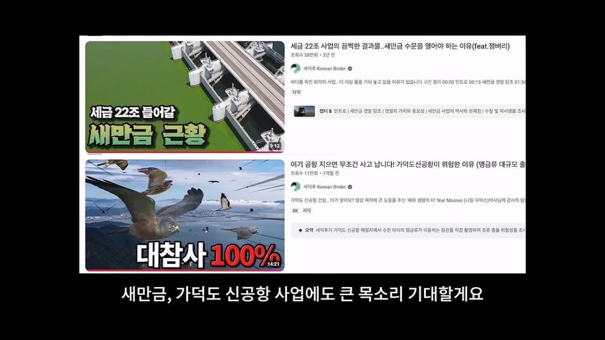 고양이, 이젠 직접 잡는 수밖에 없습니다_20260818_210038.372.jpg