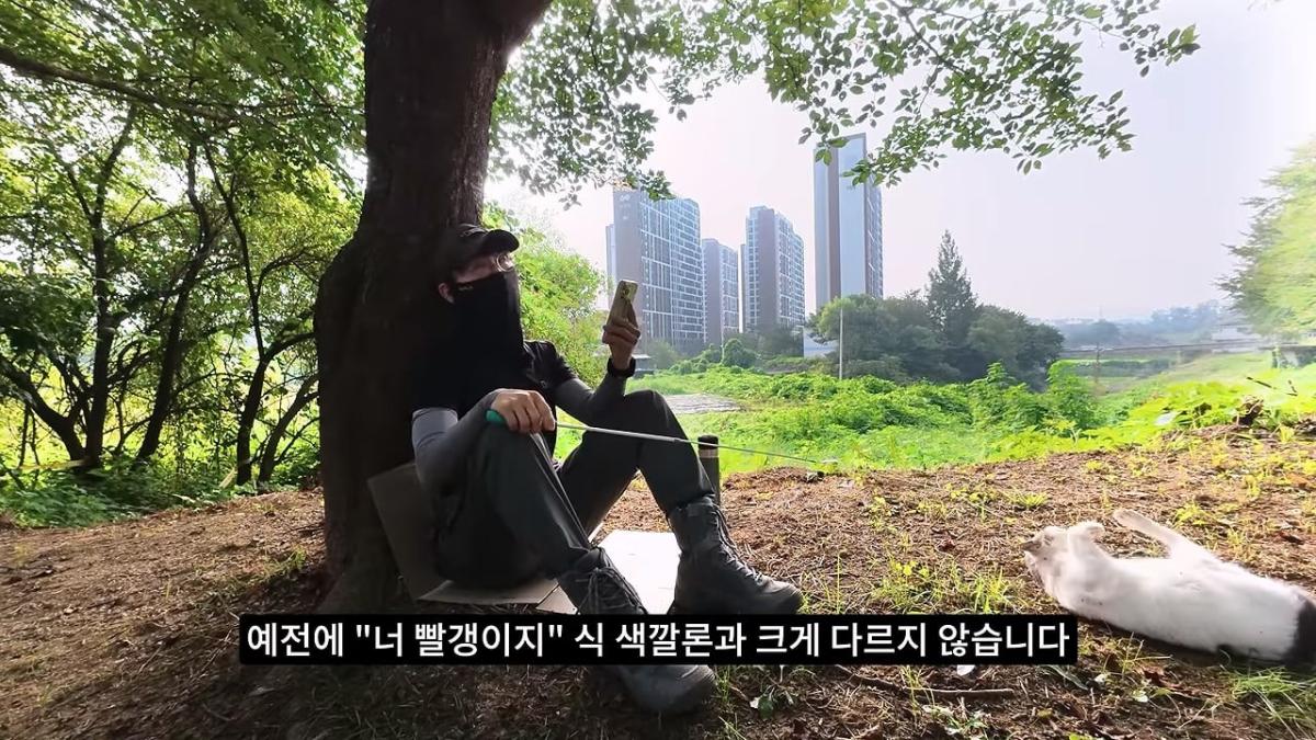 고양이, 이젠 직접 잡는 수밖에 없습니다_20260818_205216.318.jpg