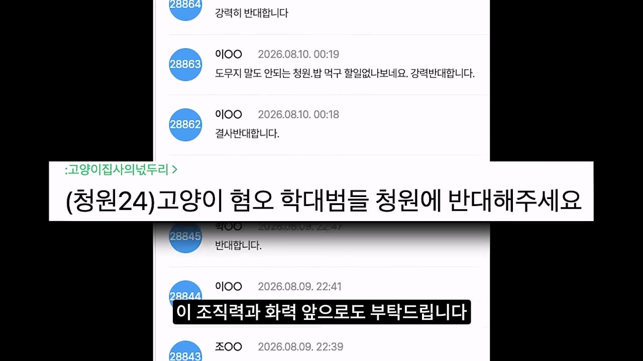고양이, 이젠 직접 잡는 수밖에 없습니다_20260818_210034.781.jpg