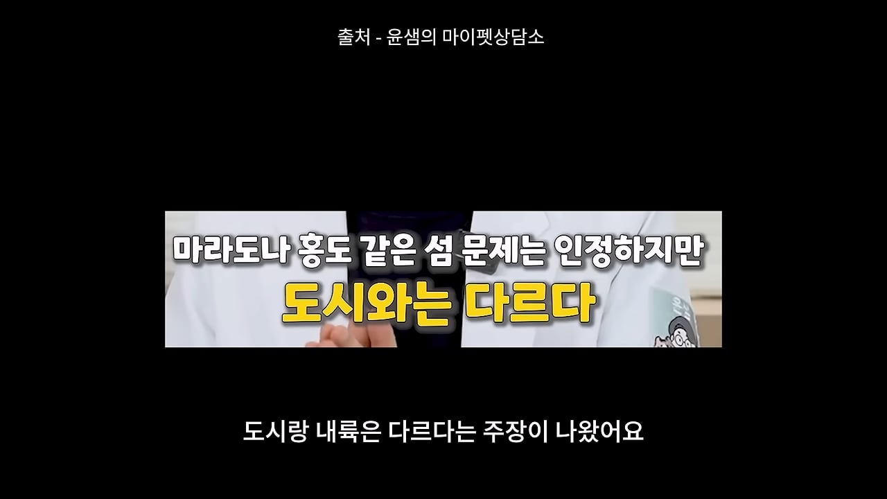 고양이, 이젠 직접 잡는 수밖에 없습니다_20260818_210318.020.jpg