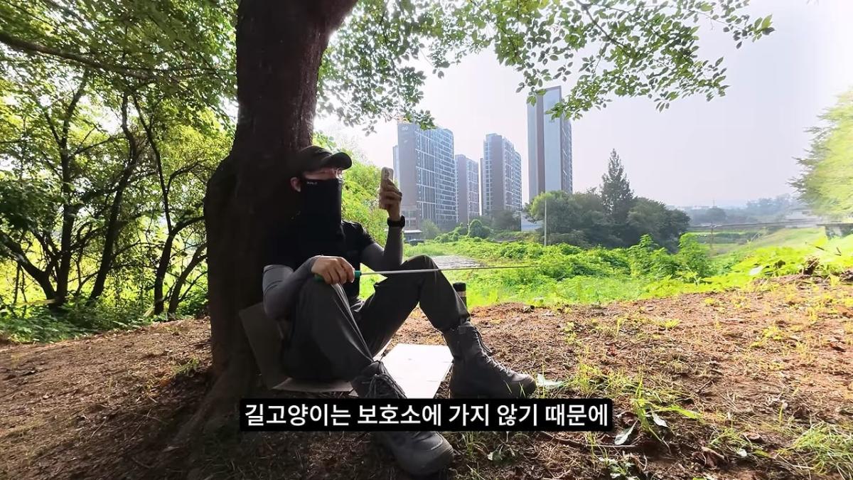 고양이, 이젠 직접 잡는 수밖에 없습니다_20260818_211518.059.jpg