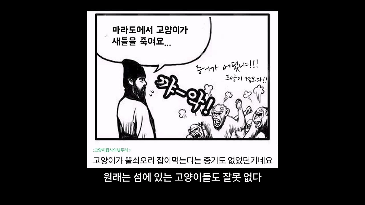 고양이, 이젠 직접 잡는 수밖에 없습니다_20260818_210326.764.jpg