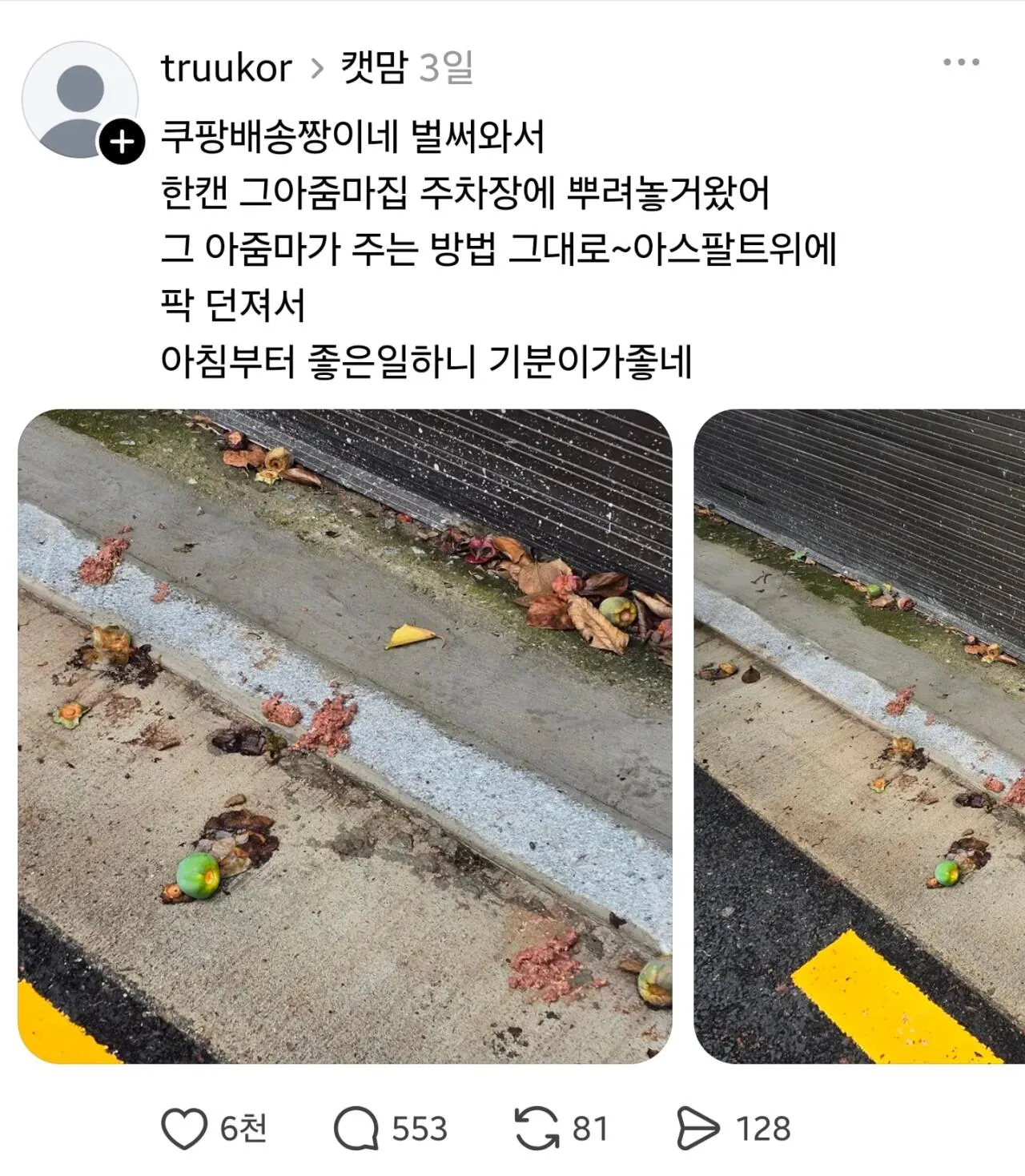 1000038515.jpg 임자 제대로 만난 캣맘 ㅋㅋㅋ