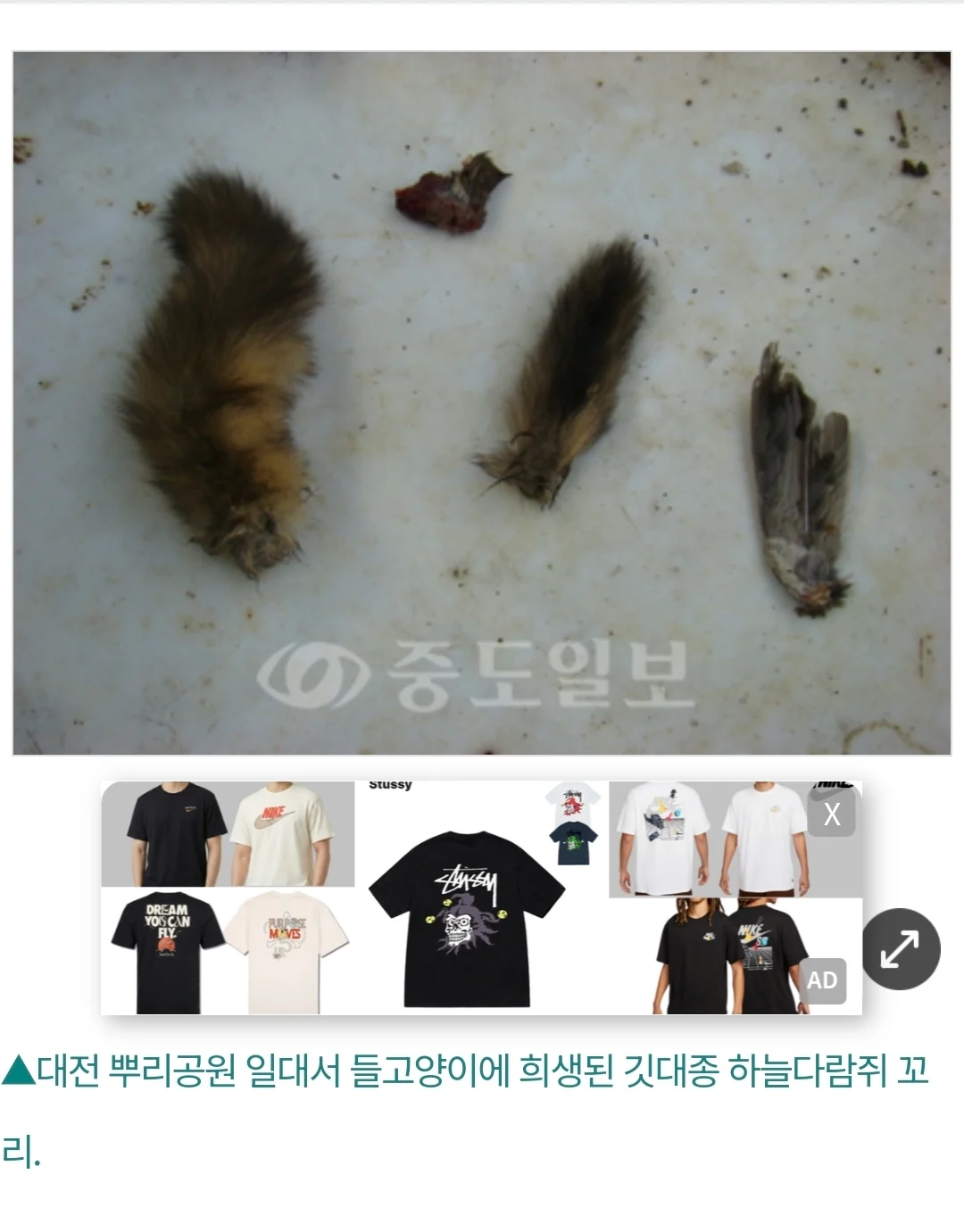 개씹좆냥이-005.jpg