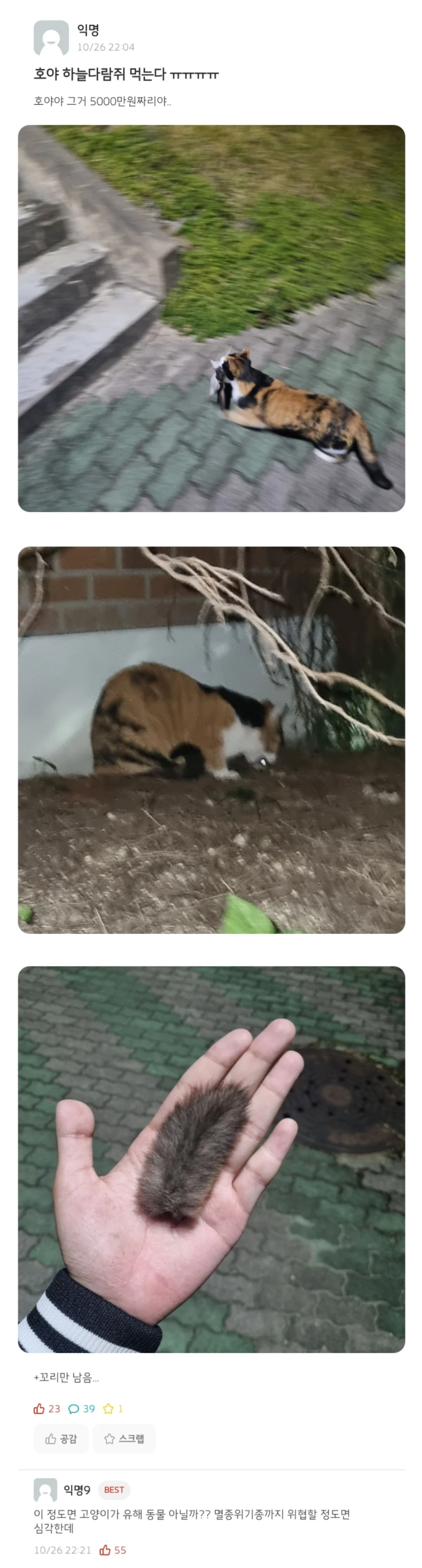 개씹좆냥이-000.jpg