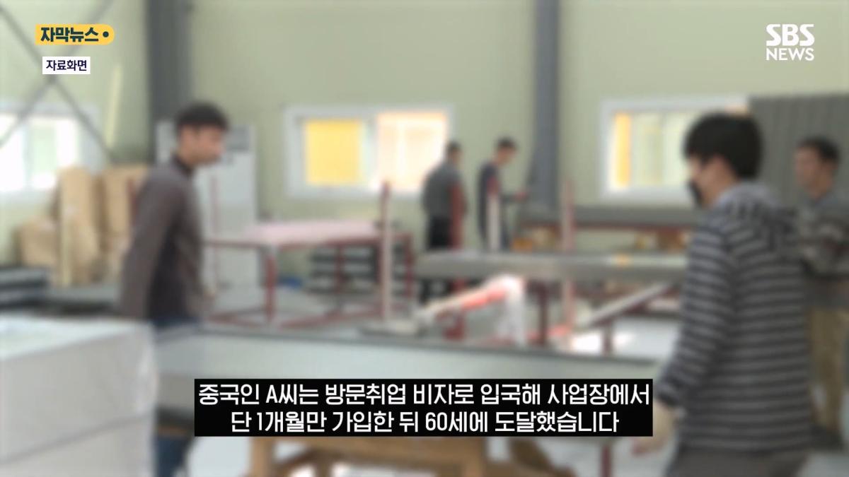 한국서 한 달 일하고 매달 연금 .외국인 '평생 연금' 실체에 '부글' (자막뉴스) SBS.mp4_20260821_131010.778.jpg