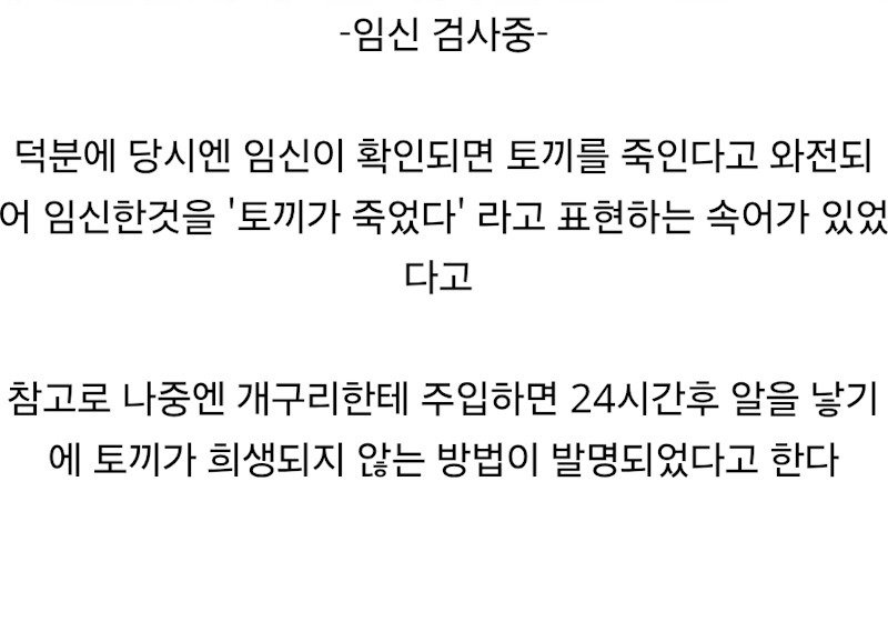 05.jpg