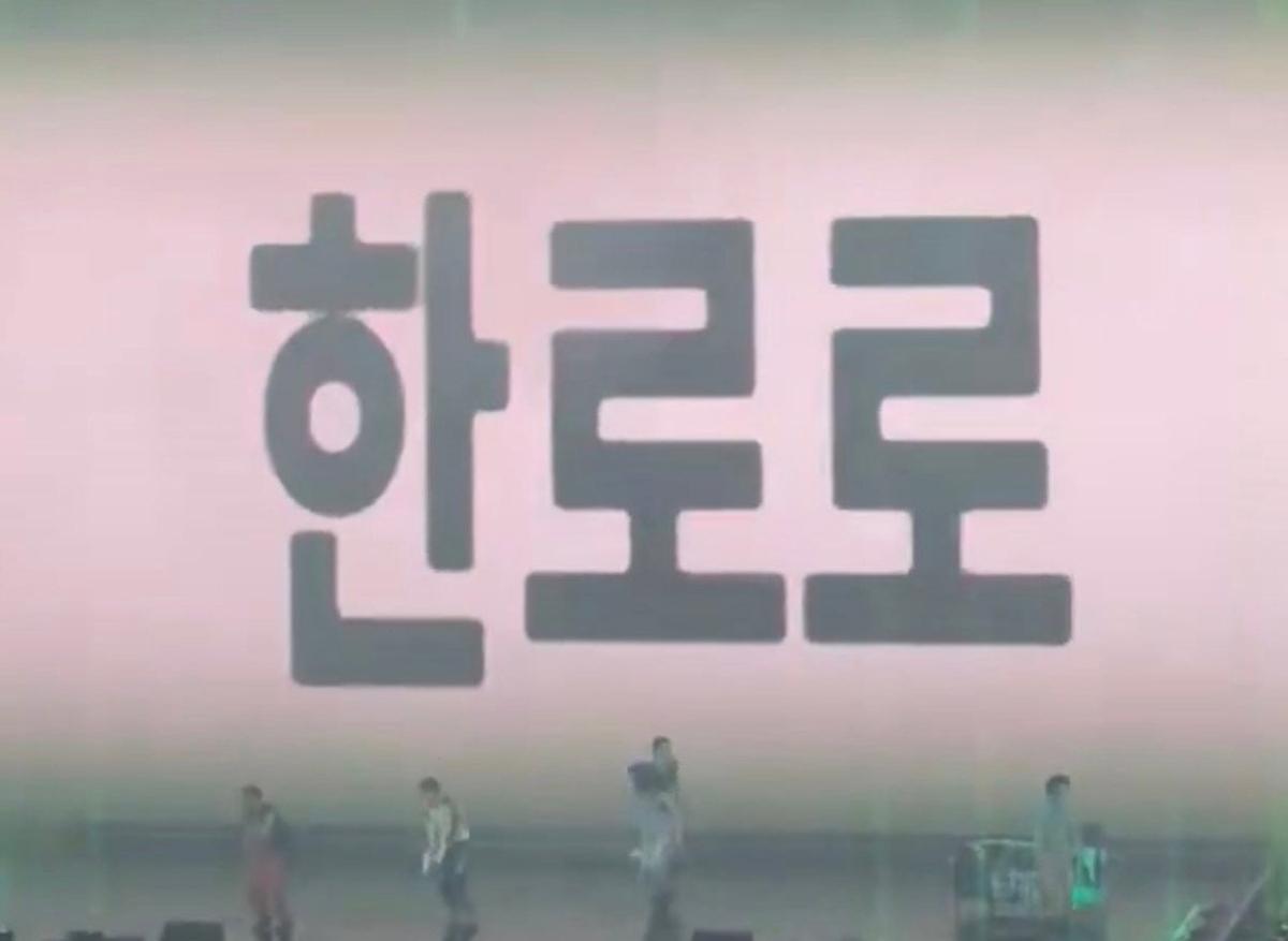 IMG_6856.jpeg