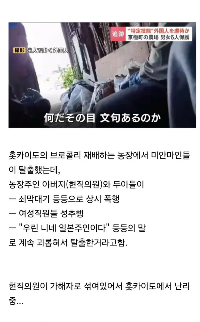 현직 국회의원이 외국인 노동자들을 폭행해서 난리가 났다는 홋카이도 상황