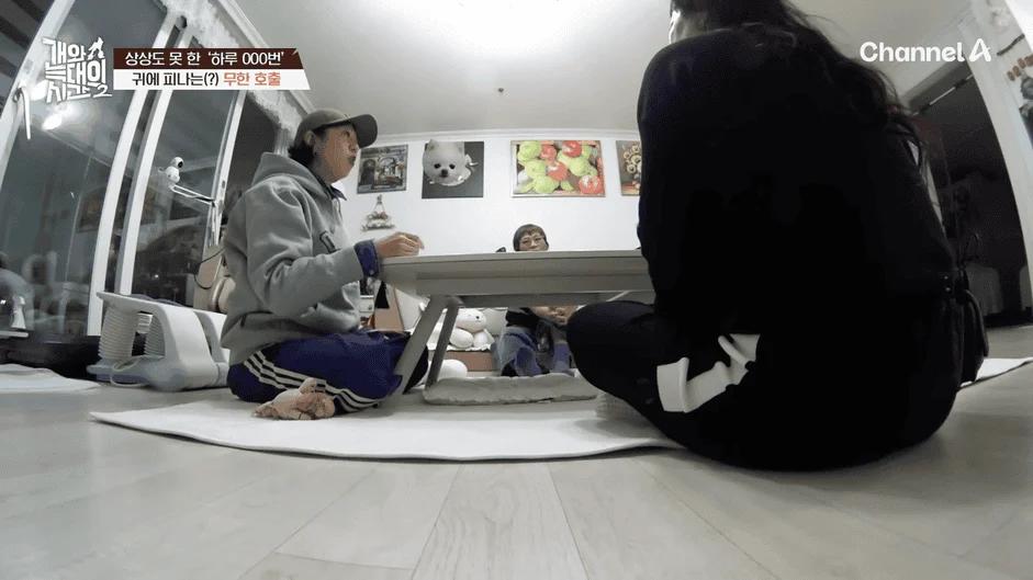 [#개와늑대의시간2] _저 같아도 물 것 같._ 하루에 개를 462번 부르는 보호자!_😨🚨 (귀에 딱지 앉을 듯.)🤕🐕 _ 개와 늑대의 시간2 17회 15-9 screenshot.png