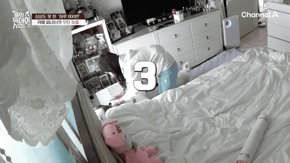 [#개와늑대의시간2] _저 같아도 물 것 같._ 하루에 개를 462번 부르는 보호자!_😨🚨 (귀에 딱지 앉을 듯.)🤕🐕 _ 개와 늑대의 시간2 17회 15-44 screenshot.png